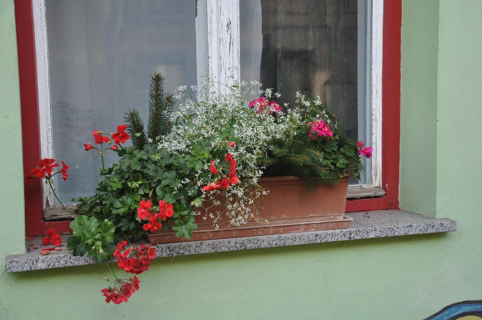 Apartma By The River Ljubljana
