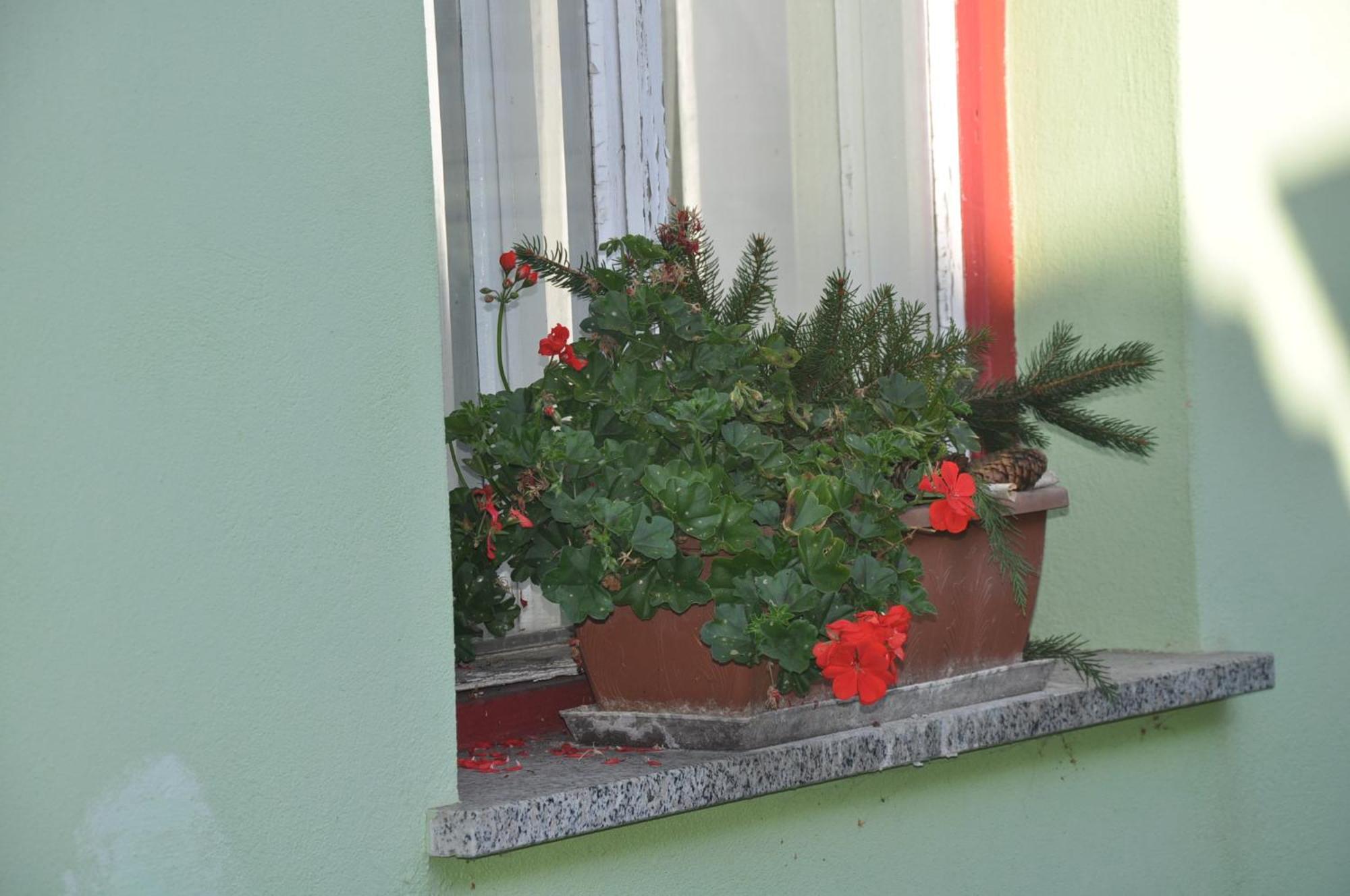 Apartma By The River *